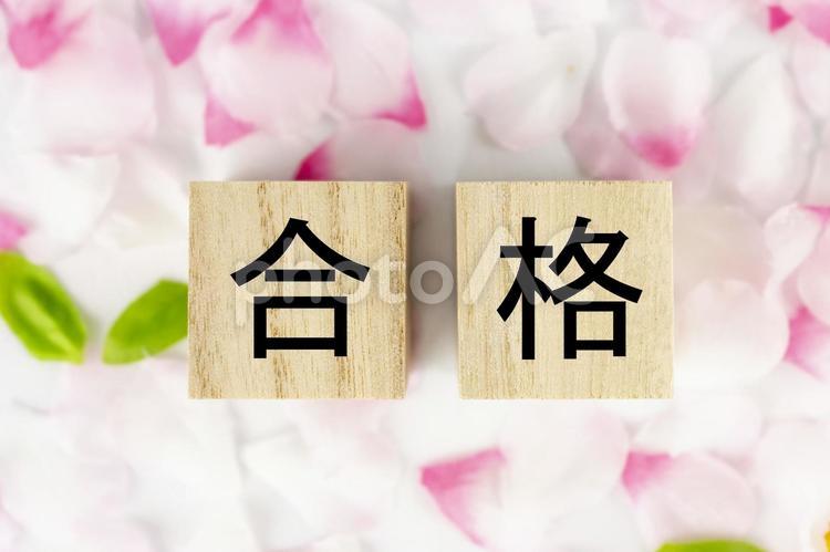 オモチャの桜の花と合格の文字 春,桜,合格の写真素材