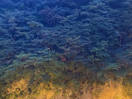山 ライトアップ 山 ライトアップ の写真