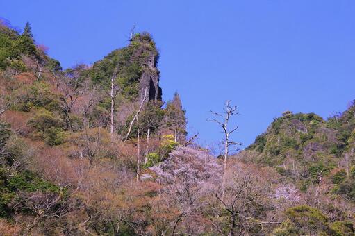 枯木の目立つ春の岩山と青空 岩山,山,奇岩の写真素材