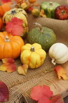 ハロウィン いろいろなカボチャを飾って ハロウィン いろいろなカボチャを飾って ハロウィン,ハロウィンのイメージ,カボチャの写真素材