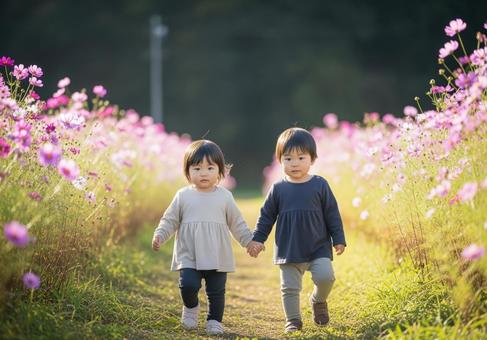 コスモス畑を歩く子供たちの幸せな瞬間 コスモス畑を歩く子供たちの幸せな瞬間の写真