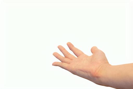 手のひらを開いて前に出した手 手のひらを開いて前に出した手 手,指,開くの写真素材