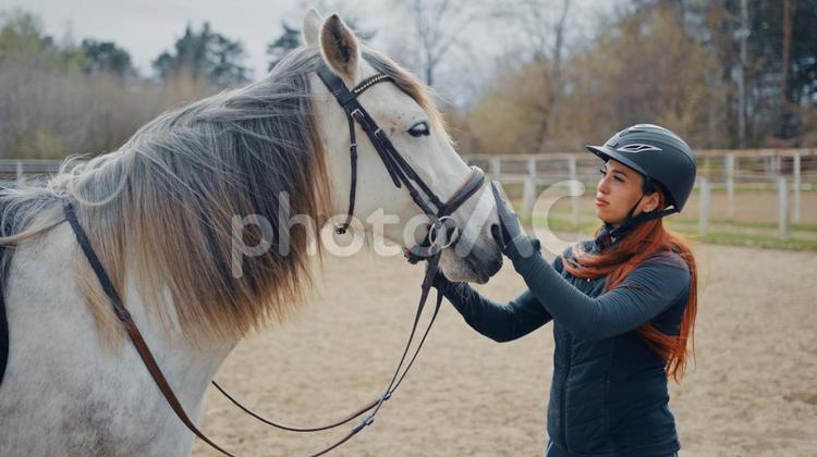 馬場で乗馬用の鞍を装着した馬と騎手 馬,馬の顔,上半身の写真素材