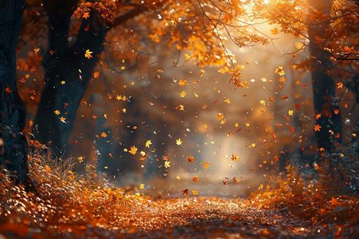 紅葉が降り注ぐ秋の風景 紅葉が降り注ぐ秋の風景の写真