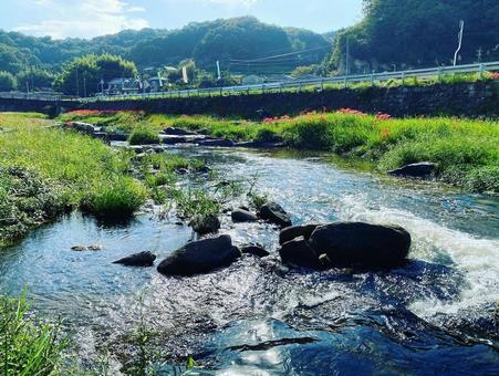 田舎の風景 田舎の風景の写真