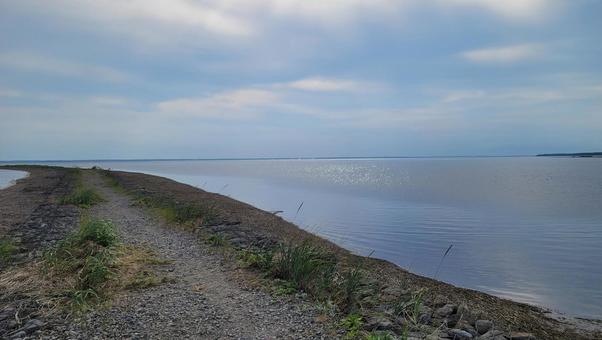 野付半島 トドワラ 野付半島 トドワラ 風景,夏,北海道の写真素材