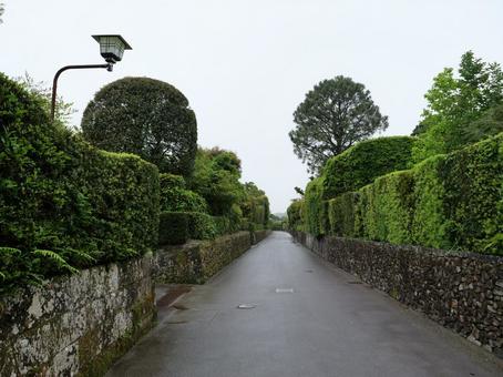 知覧　武家屋敷通り 知覧,武家屋敷通り,鹿児島の写真素材