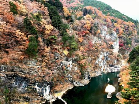 紅葉 紅葉 栃木県,秋,自然の写真素材