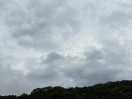曇り空と森の風景 曇り空と森の風景の写真