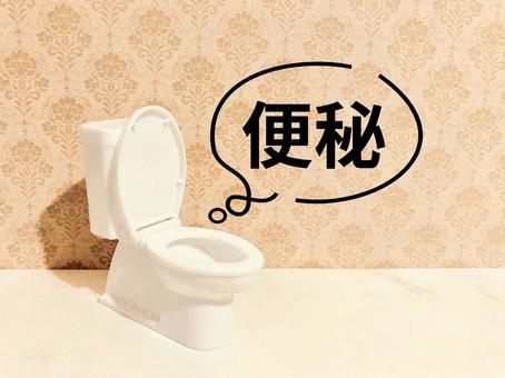 便秘に悩む 便秘に悩むの写真