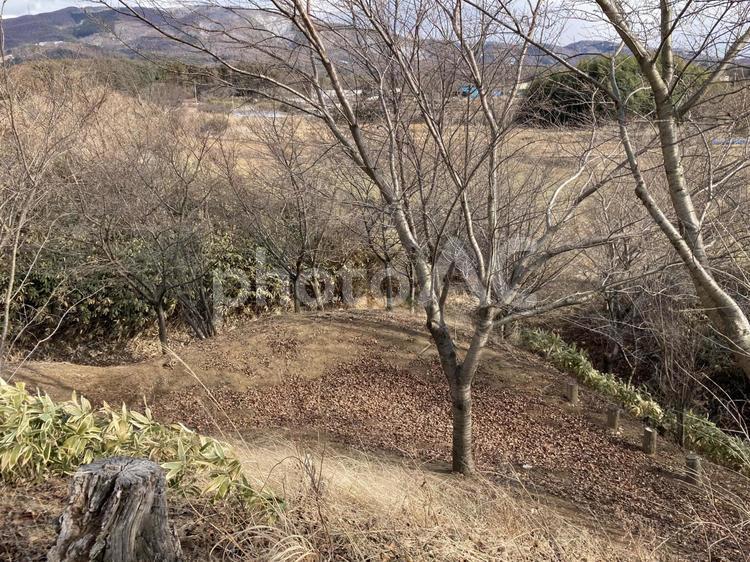 長野県塩尻市片丘　北熊井城址（土塁の角） 北熊井城址,長野県,塩尻市の写真素材