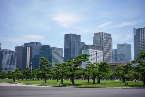 皇居外苑と高層ビル群 高層ビル,ビル群,都市景観の写真素材