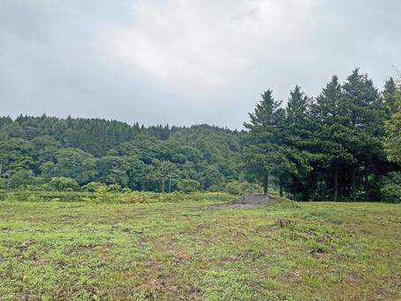 青森8月:バスの車窓からの森林風景 青森8月:バスの車窓からの森林風景 自然,森林,バスの写真素材