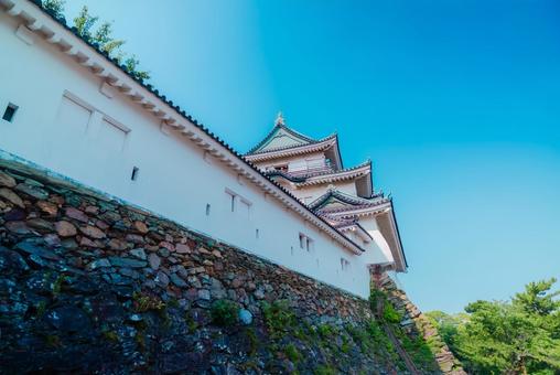 【和歌山】和歌山城 2025 【和歌山】和歌山城 2025 和歌山城,和歌山,城の写真素材