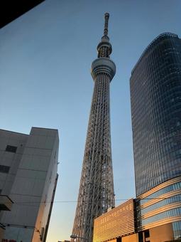 東京 東京の写真