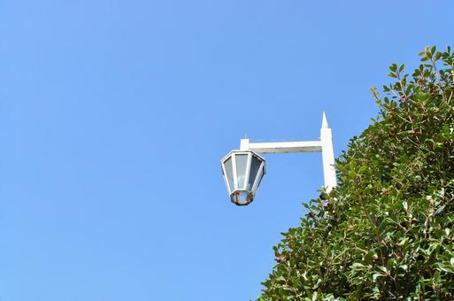 青空と木と街灯 青空と木と街灯の写真