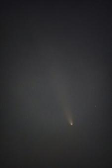 アトラス彗星の光芒 アトラス彗星の光芒の写真