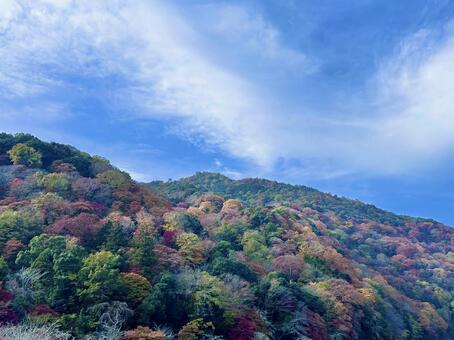 紅葉 山,紅葉,秋の写真素材