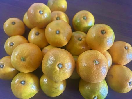 佐賀県産 さが美人のみかん 秋の味覚,食欲の秋,甘いの写真素材