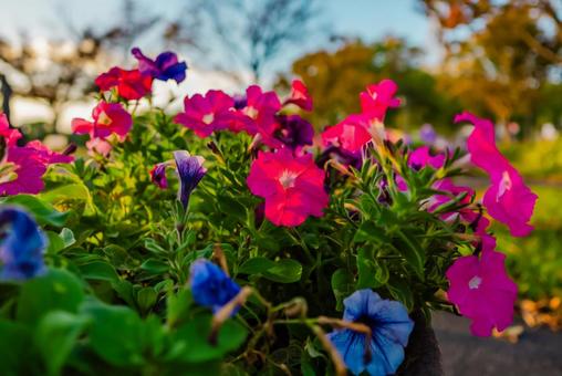 【佐賀】佐賀県立博物間・佐賀県立美術館 佐賀,風景,自然の写真素材