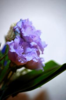 紫の花 フラワーアレンジメント 紫の花 フラワーアレンジメント 花,紫,紫の花の写真素材