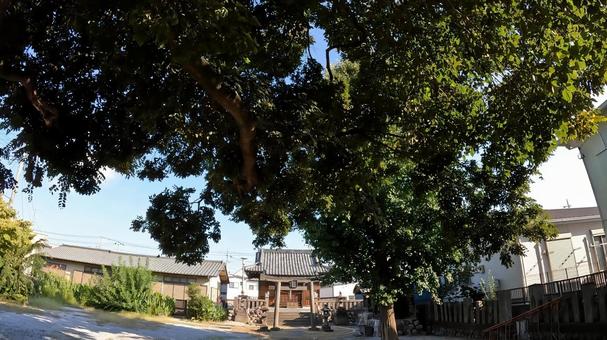 日本、埼玉県行田市行田　 愛宕神社  埼玉,行田市行田,愛宕神社の写真素材