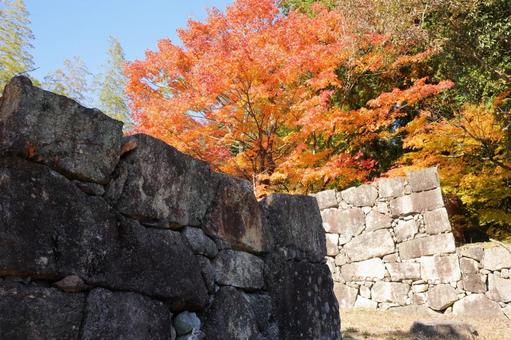 紅葉と苗木城 石垣 苗木城,苗木城跡,紅葉の写真素材