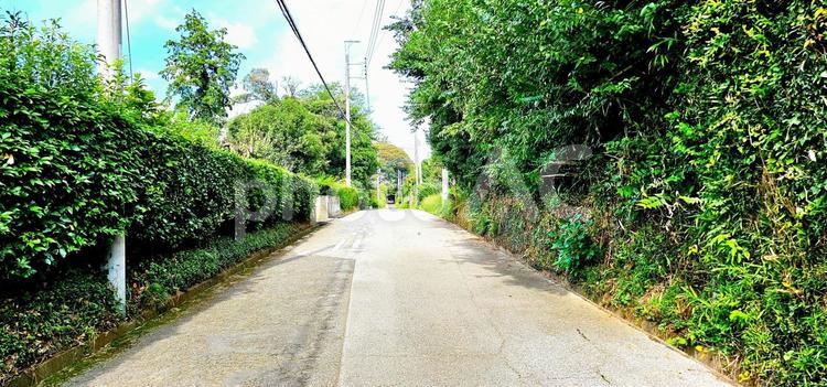 田舎の道 散歩コース,散策,ジョギングの写真素材