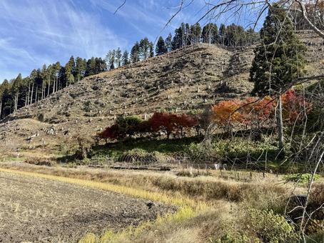 11月　秋の福井県坂井市山奥の景色 自然,山,福井県の写真素材