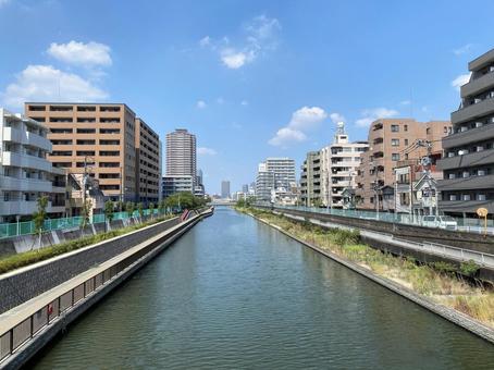 横十間川から北を眺める 横十間川から北を眺めるの写真