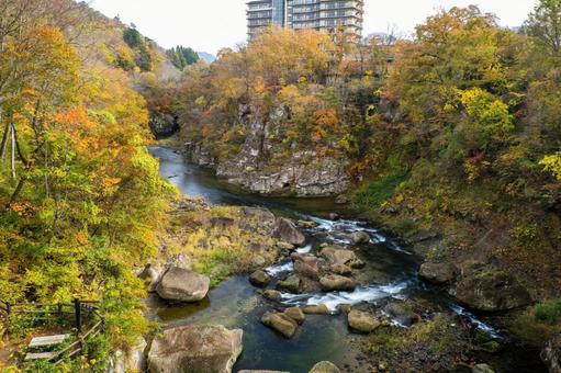 秋の磊々峡(45) 秋,紅葉,磊々峡の写真素材