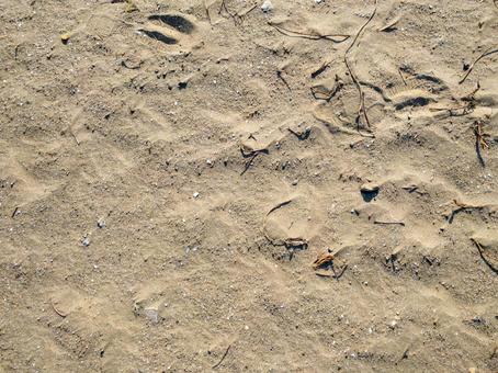 砂浜 砂浜,海,海岸の写真素材