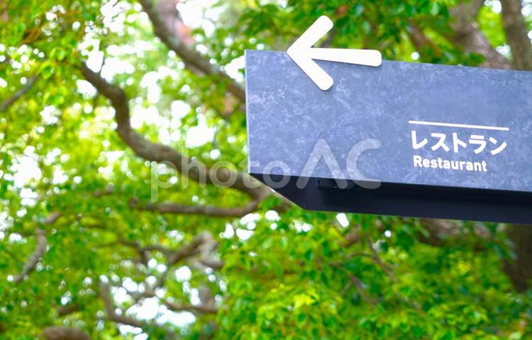 森の中の案内板 案内板,グリーン,矢印の写真素材