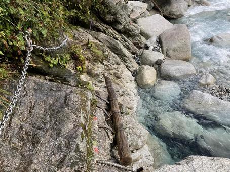 木が設置された道 池の平方面 木が設置された道 池の平方面の写真