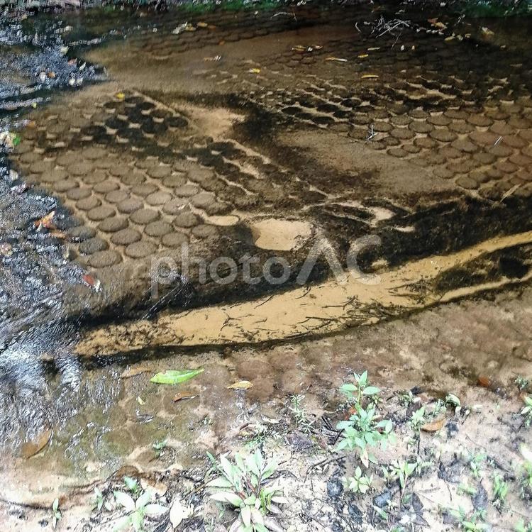 アンコール　水中遺跡　クバールスピアン アンコール遺跡群,アンコールワット,クバールスピアンの写真素材