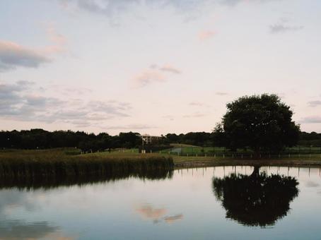 Photo, reflection, pool, park, 