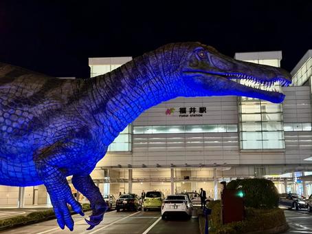 福井駅　夜の恐竜広場　世界糖尿病デー 秋,ブルーライト,イルミネーションの写真素材
