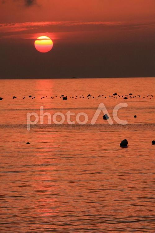 室手海岸　夕日 室手海岸,夕日,夕やけの写真素材