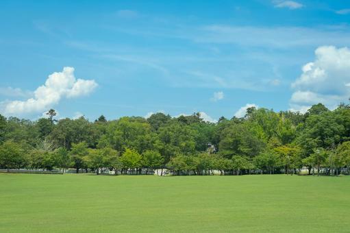 夏空に包まれた奈良公園 夏空に包まれた奈良公園 奈良,公園,芝生の写真素材