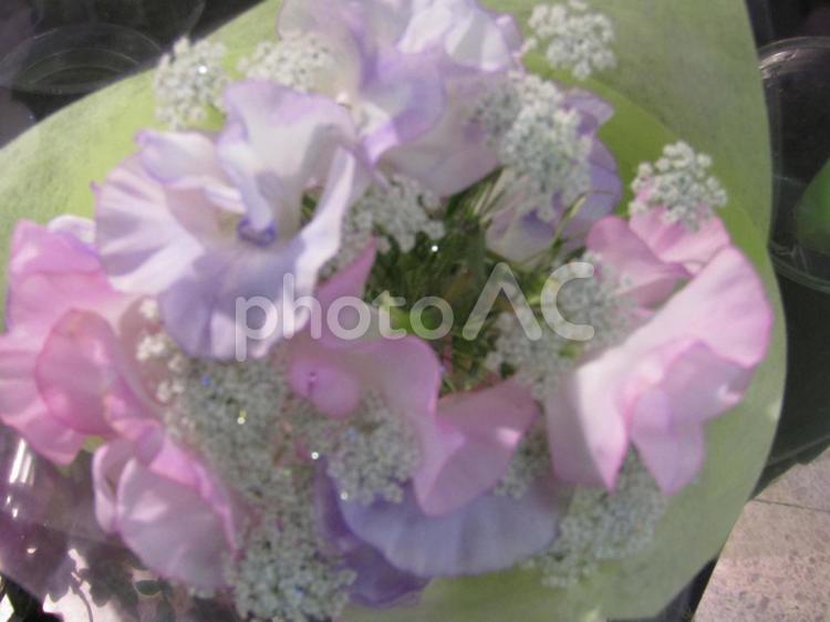 花　植物 ブーケ,プレゼントフラワー,フラワーアレンジメントの写真素材