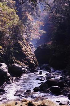 高千穂の天安河原の渓谷 高千穂の天安河原の渓谷 天安河原,高千穂,岩戸川の写真素材