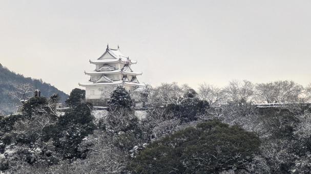 雪の宇和島城天守（遠景） 城,城山,宇和島城の写真素材