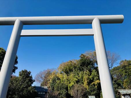櫻木神社　大鳥居 櫻木神社,千葉県野田市,神社の写真素材