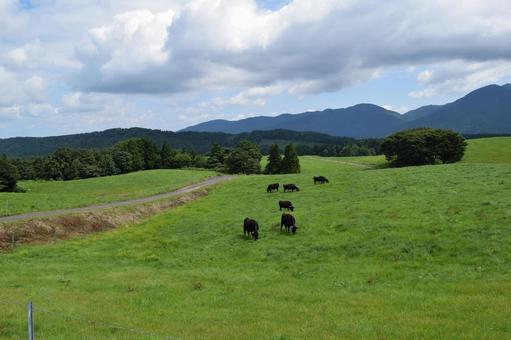 Photo, gassan highland ranch, moon mountain ranch, plateau ranch, 