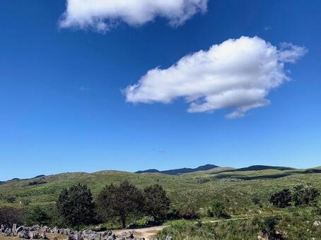 秋吉台の空に浮かぶ雲 カルスト,台地,空の写真素材