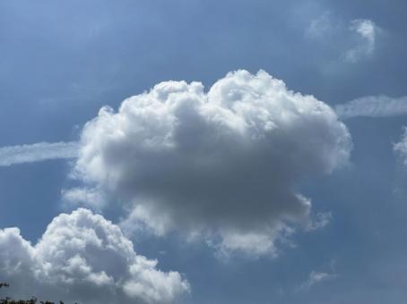 空の雲 空の雲の写真