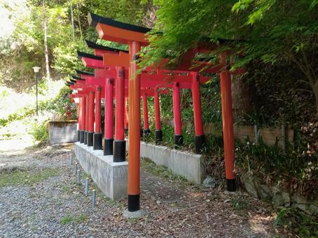Torii gate of Shiio Shrine, JPG Torii gate of Shiio Shrine, JPG