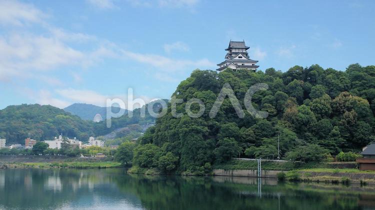 ライン大橋より眺めた初夏の国宝犬山城天守 犬山城,天守,国宝の写真素材