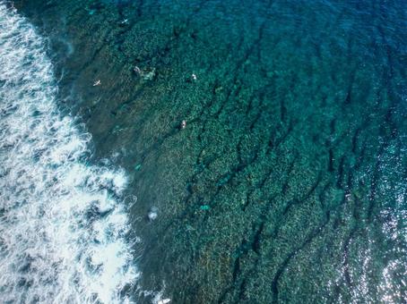 Photo, background, image of the sea, natural, 