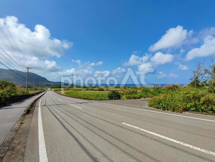 石垣島の風景（平久保半島） 石垣島,沖縄,平久保の写真素材